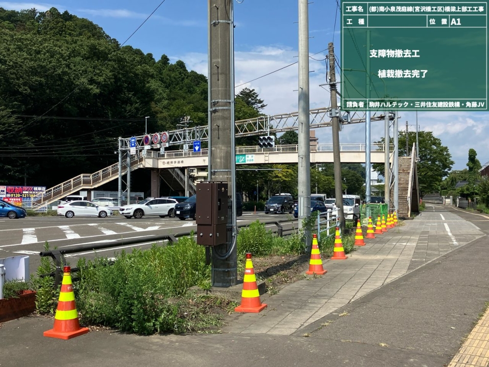 国道286号歩道付近状況写真